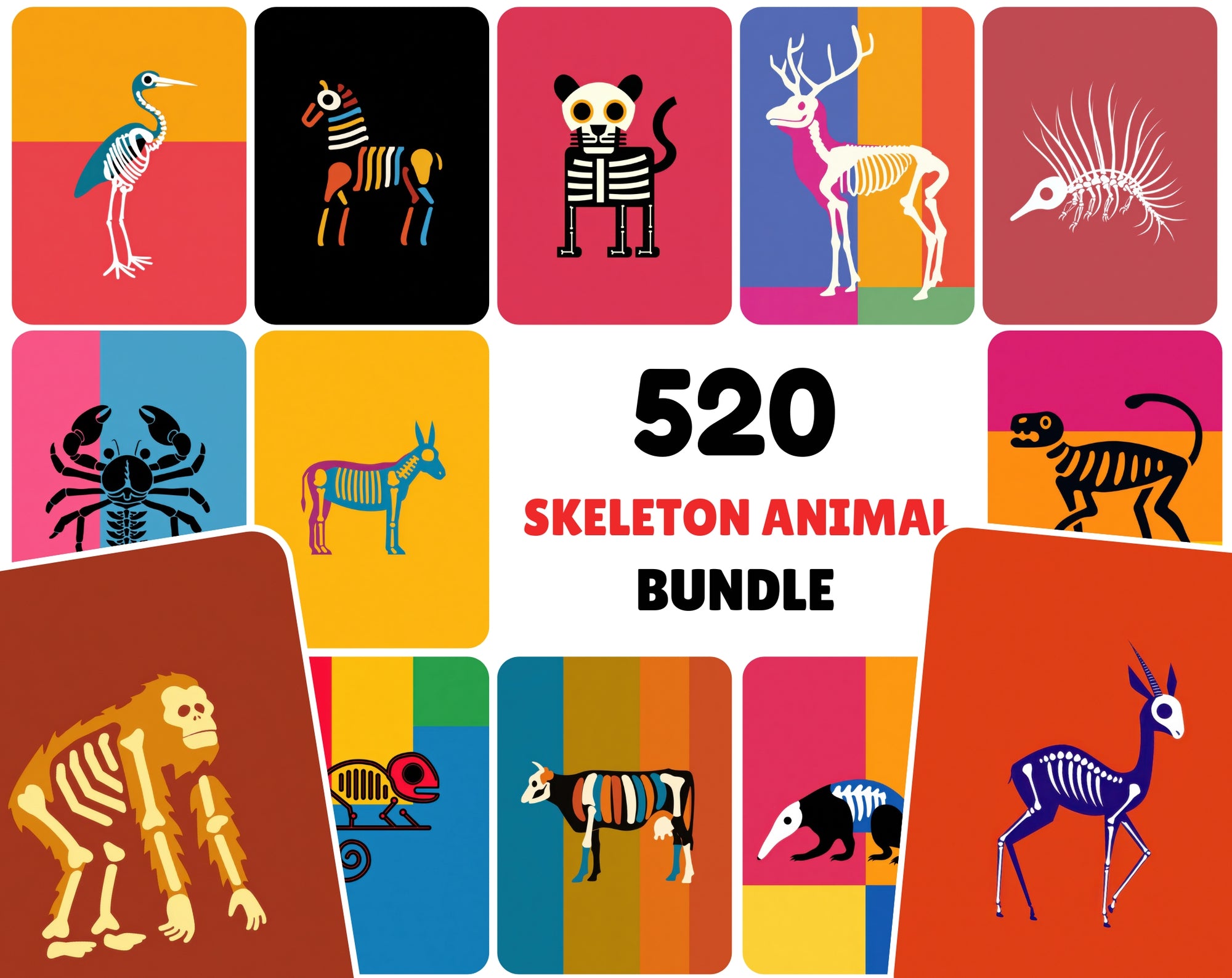 520 Skeleton Animal Illustrations | Colorful JPG Bundle with Commercial License