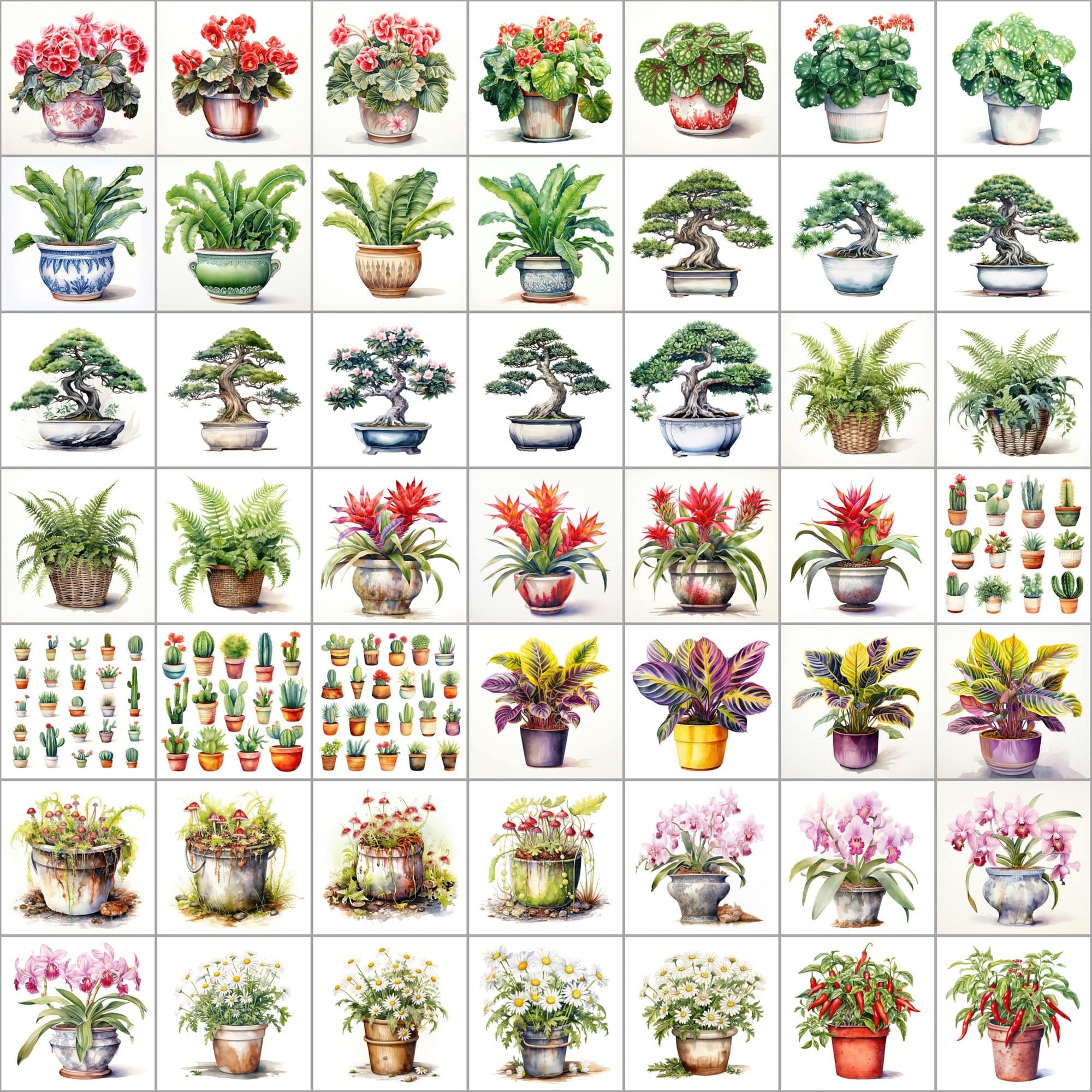 550 Watercolor Plant & Fruit Pot Images - Vibrant PNG Cliparts with Transparent and White Backgrounds Digital Download Sumobundle