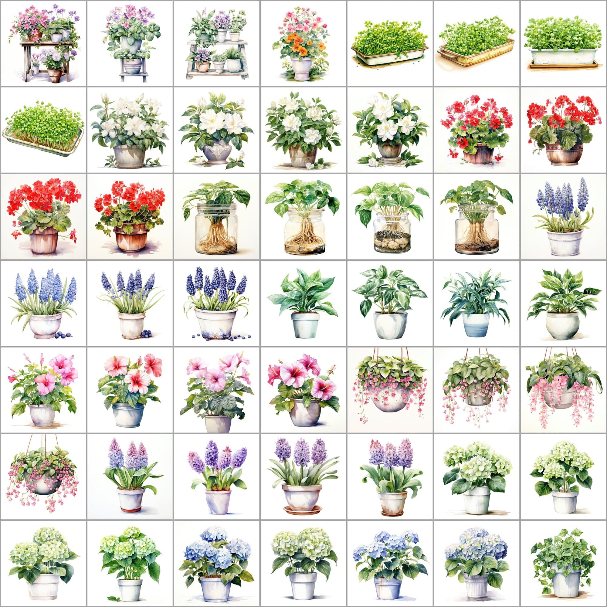 550 Watercolor Plant & Fruit Pot Images - Vibrant PNG Cliparts with Transparent and White Backgrounds Digital Download Sumobundle