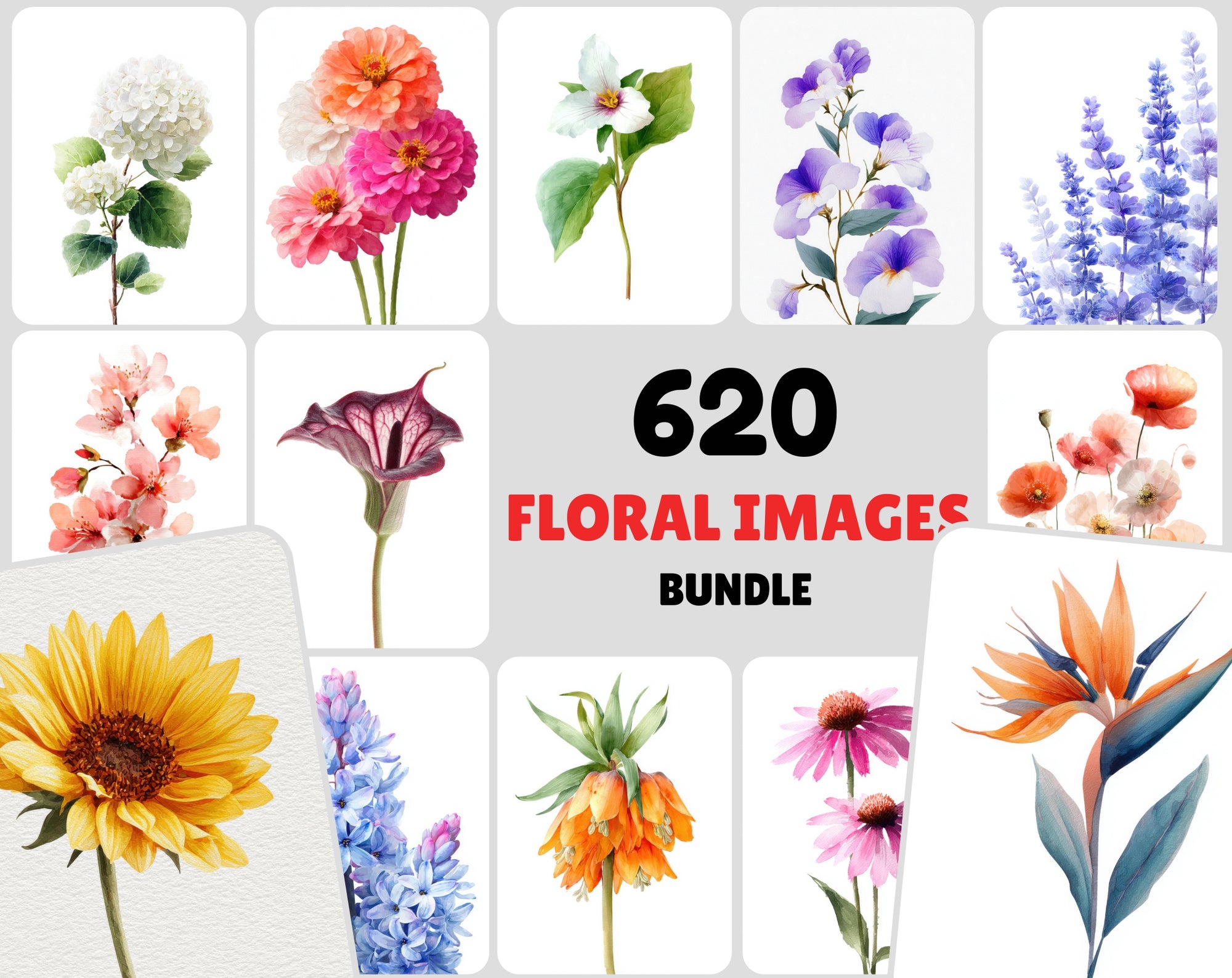 620 Watercolor Floral Images Bundle | Commercial Use Digital Clipart | High Resolution Botanical Graphics
