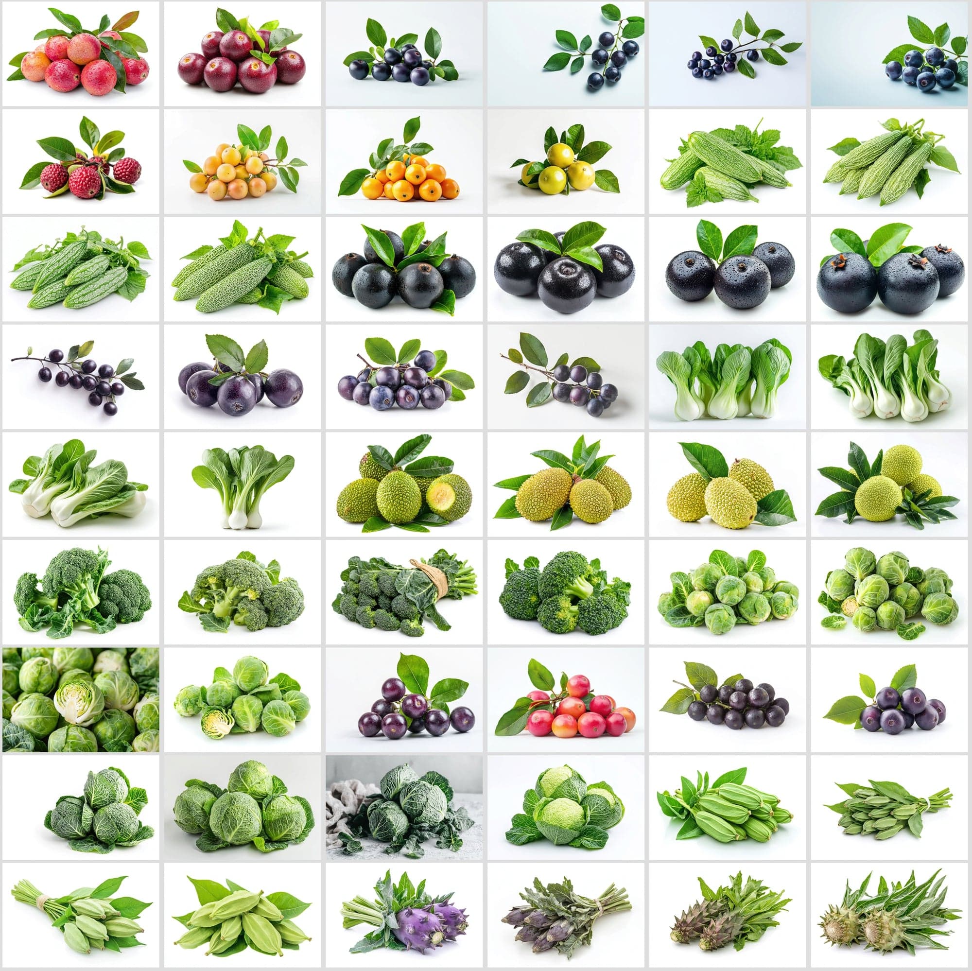 630 Premium Fruit & Vegetable Images | White Background | Green Leaves | Food Photography Digital Download Sumobundle