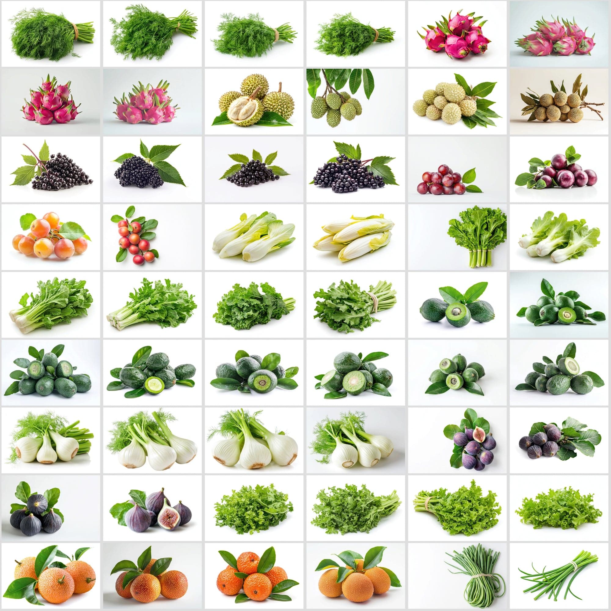 630 Premium Fruit & Vegetable Images | White Background | Green Leaves | Food Photography Digital Download Sumobundle