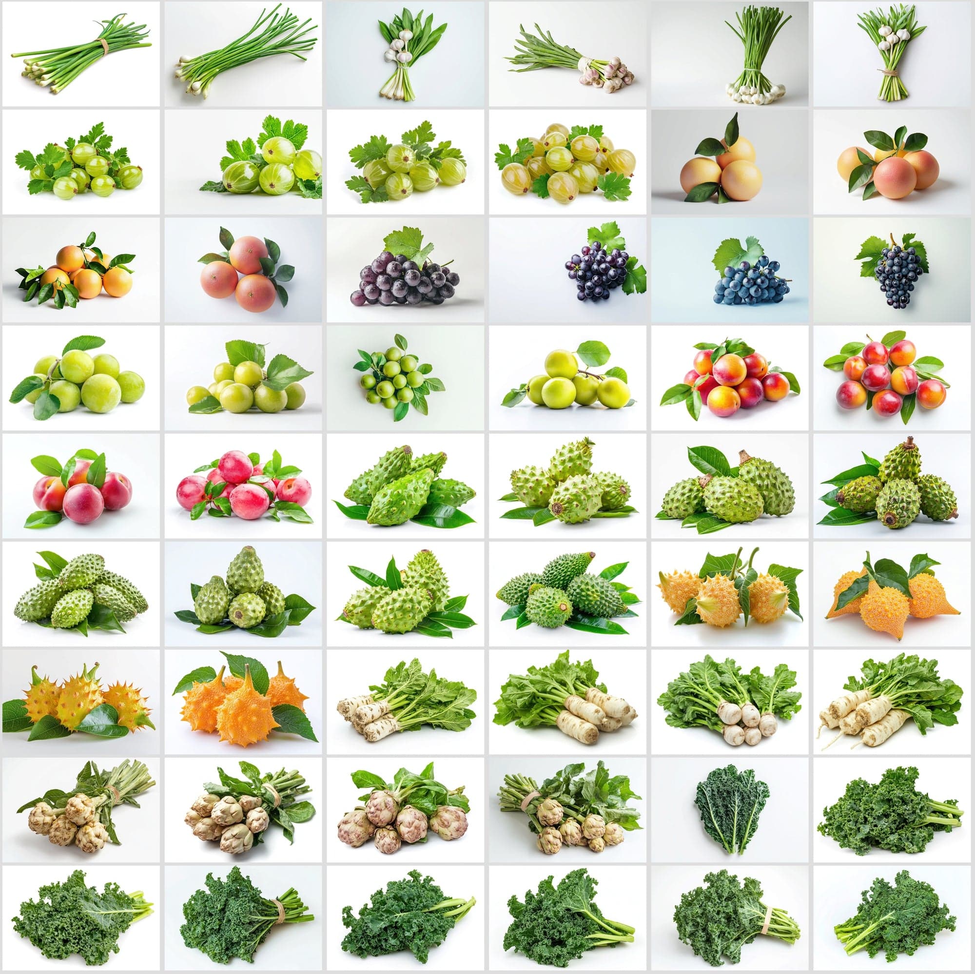 630 Premium Fruit & Vegetable Images | White Background | Green Leaves | Food Photography Digital Download Sumobundle