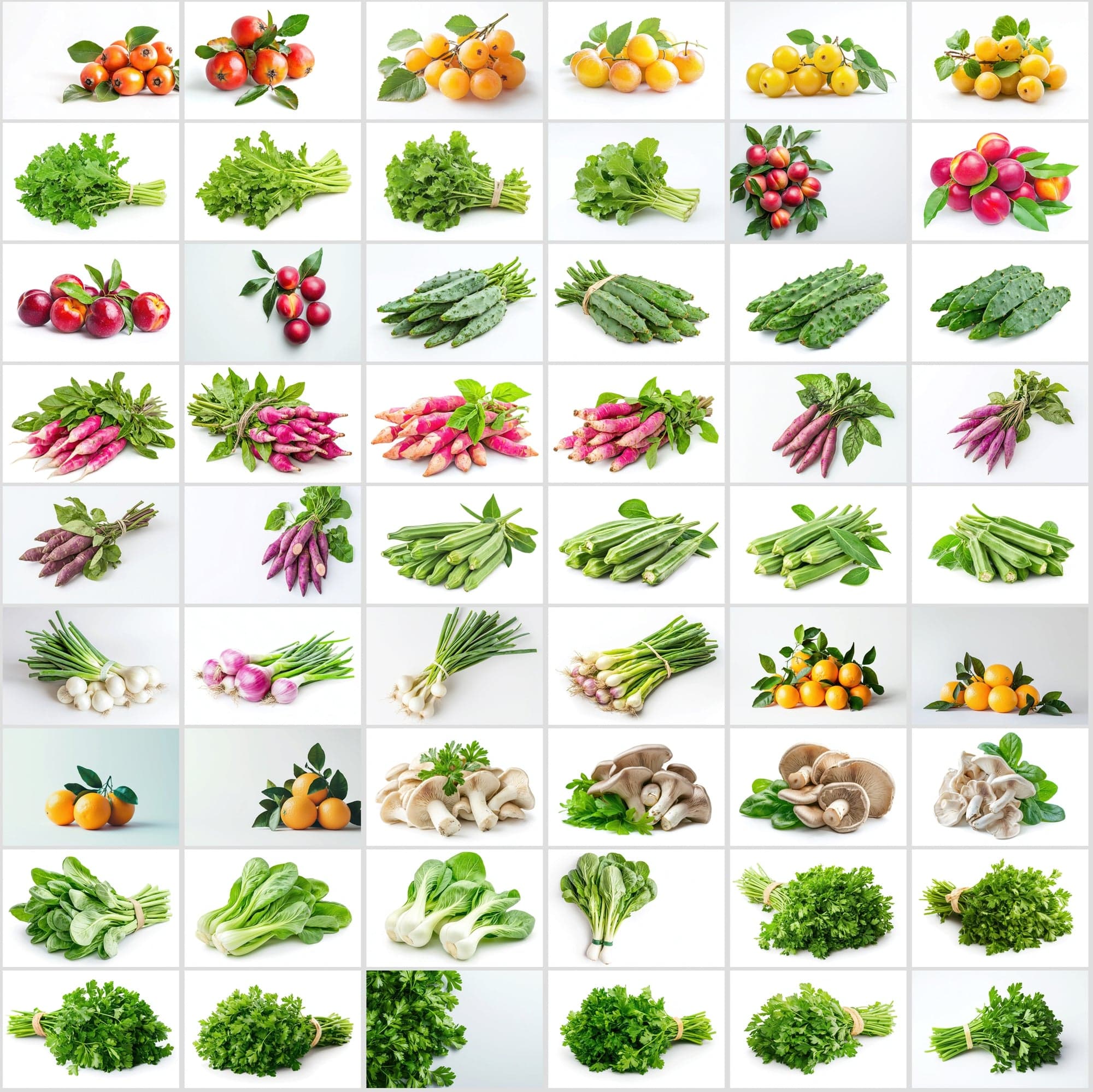 630 Premium Fruit & Vegetable Images | White Background | Green Leaves | Food Photography Digital Download Sumobundle