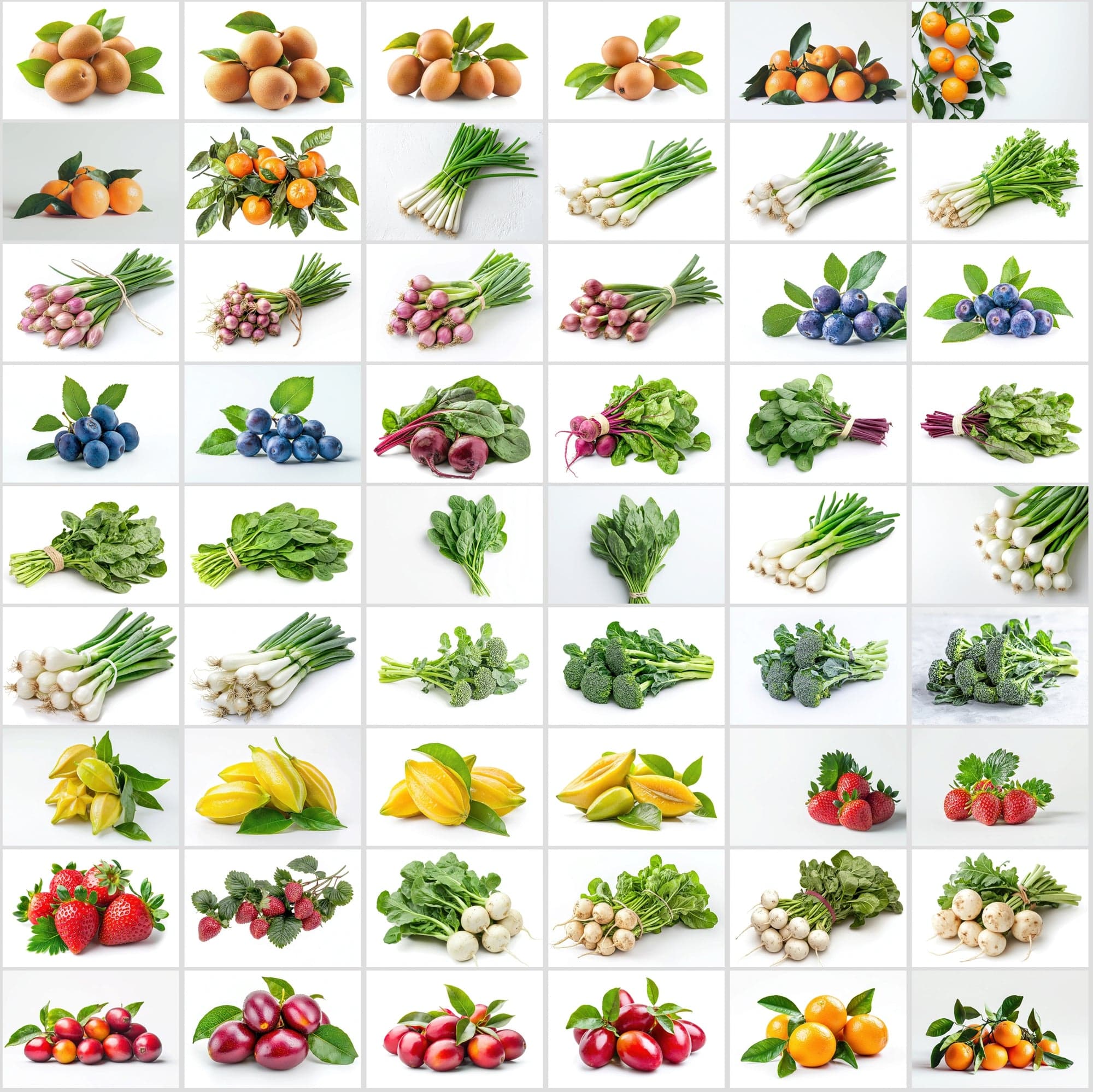 630 Premium Fruit & Vegetable Images | White Background | Green Leaves | Food Photography Digital Download Sumobundle