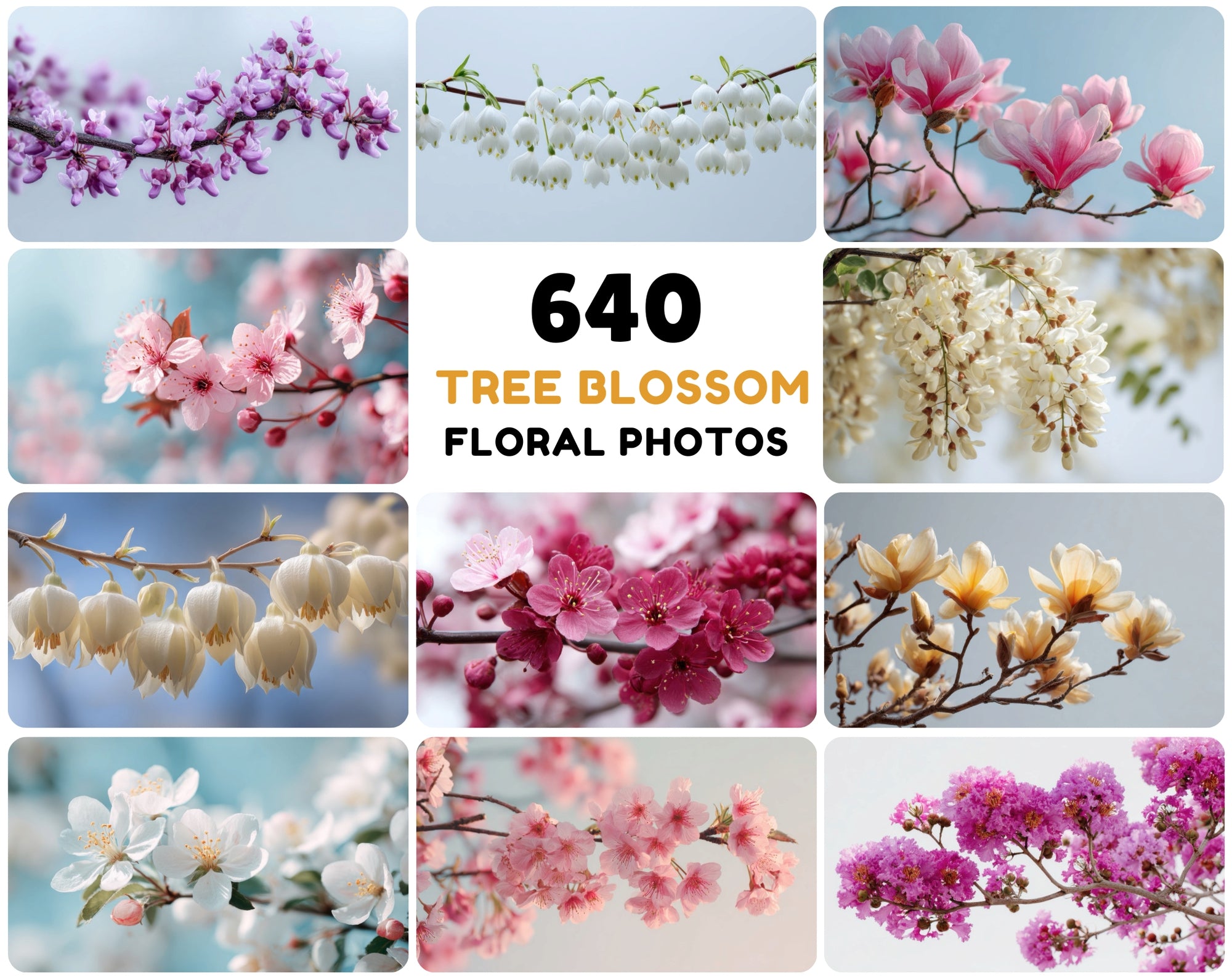640 Tree Blossom Digital Images | High-Resolution Floral Stock Photos | Commercial License Included