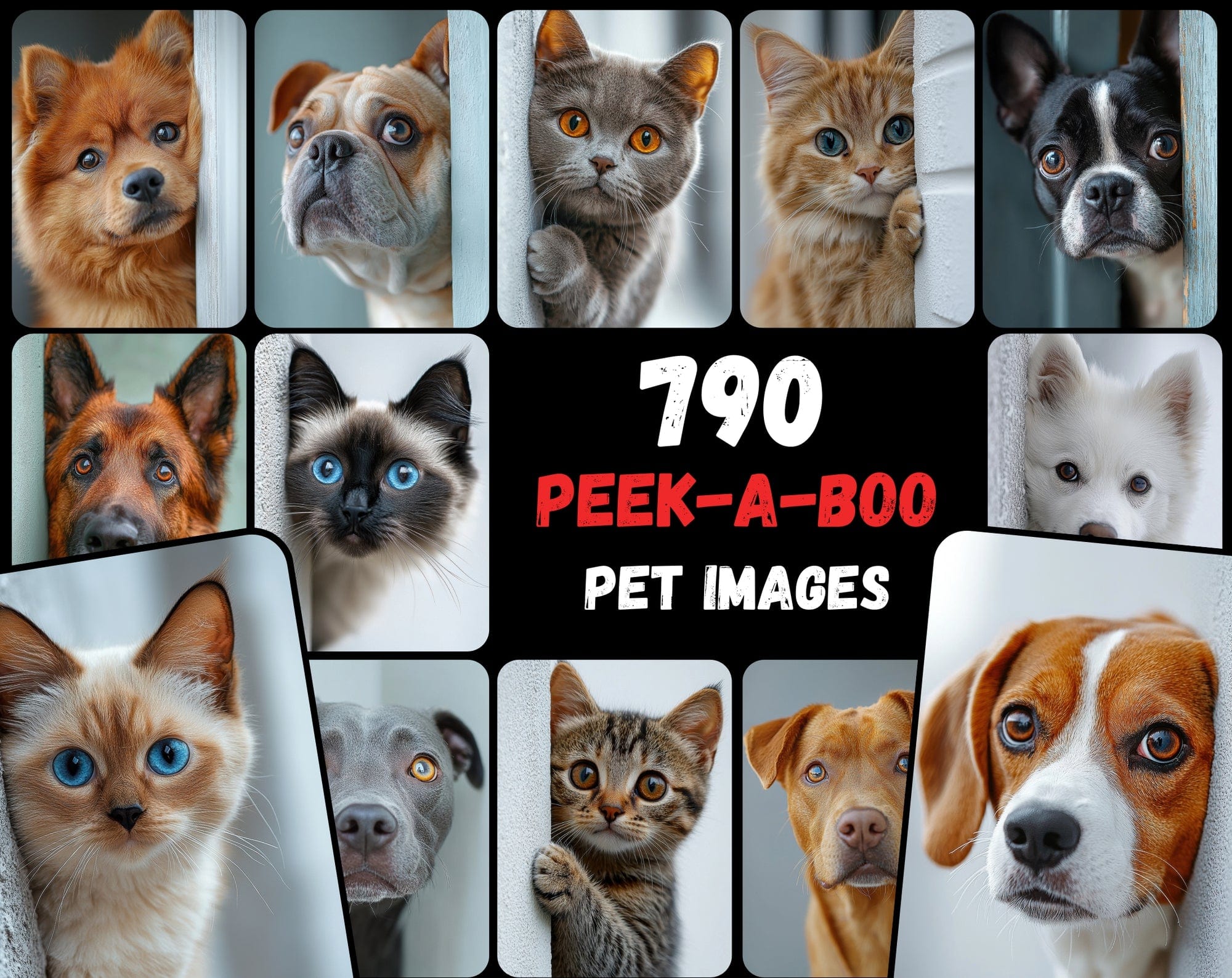 790 Peek-a-Boo Pet Images | Dogs & Cats Behind Walls Digital Download Sumobundle