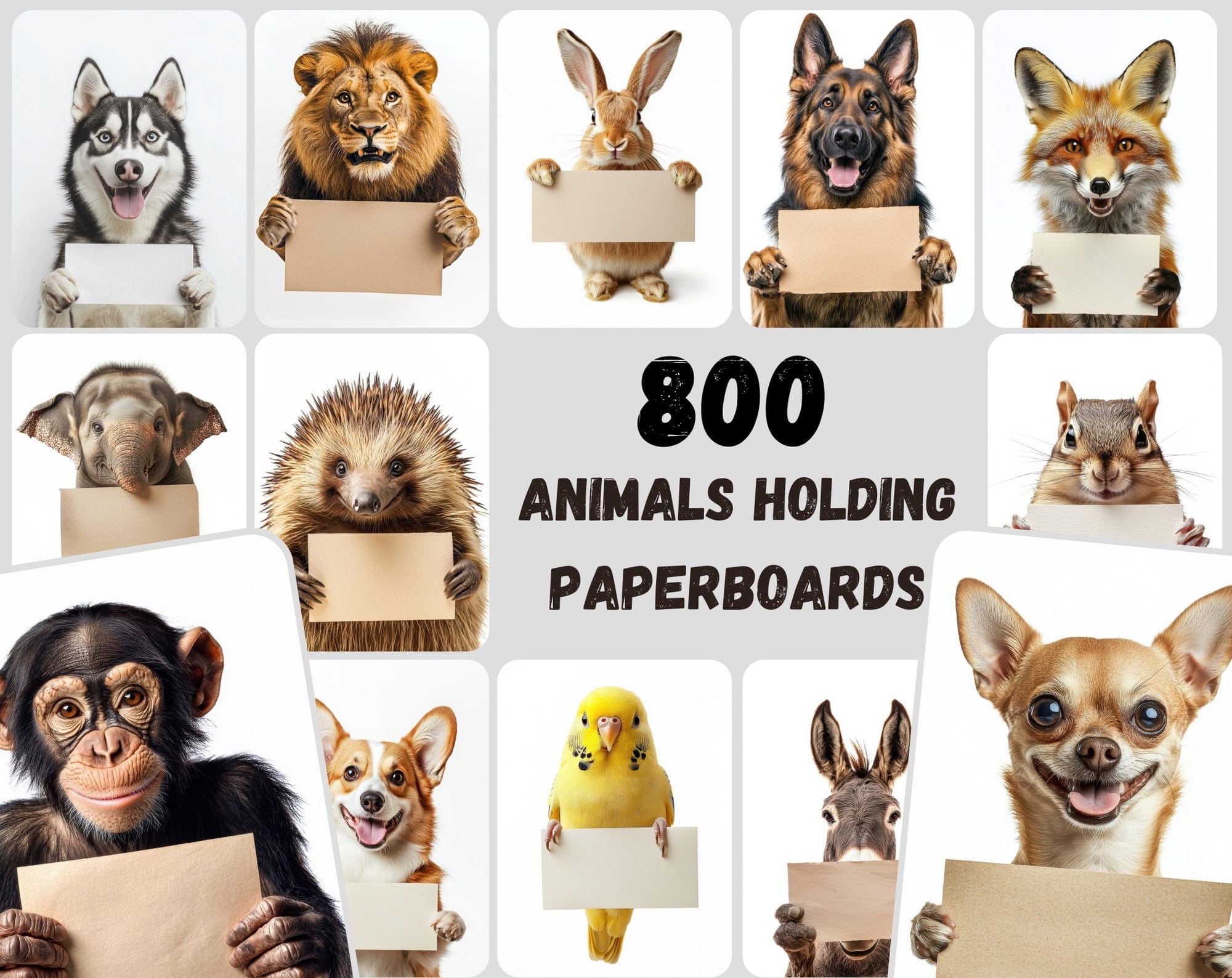 800 Adorable Animals with Signs: High-Res Commercial Use Image Digital Download Sumobundle