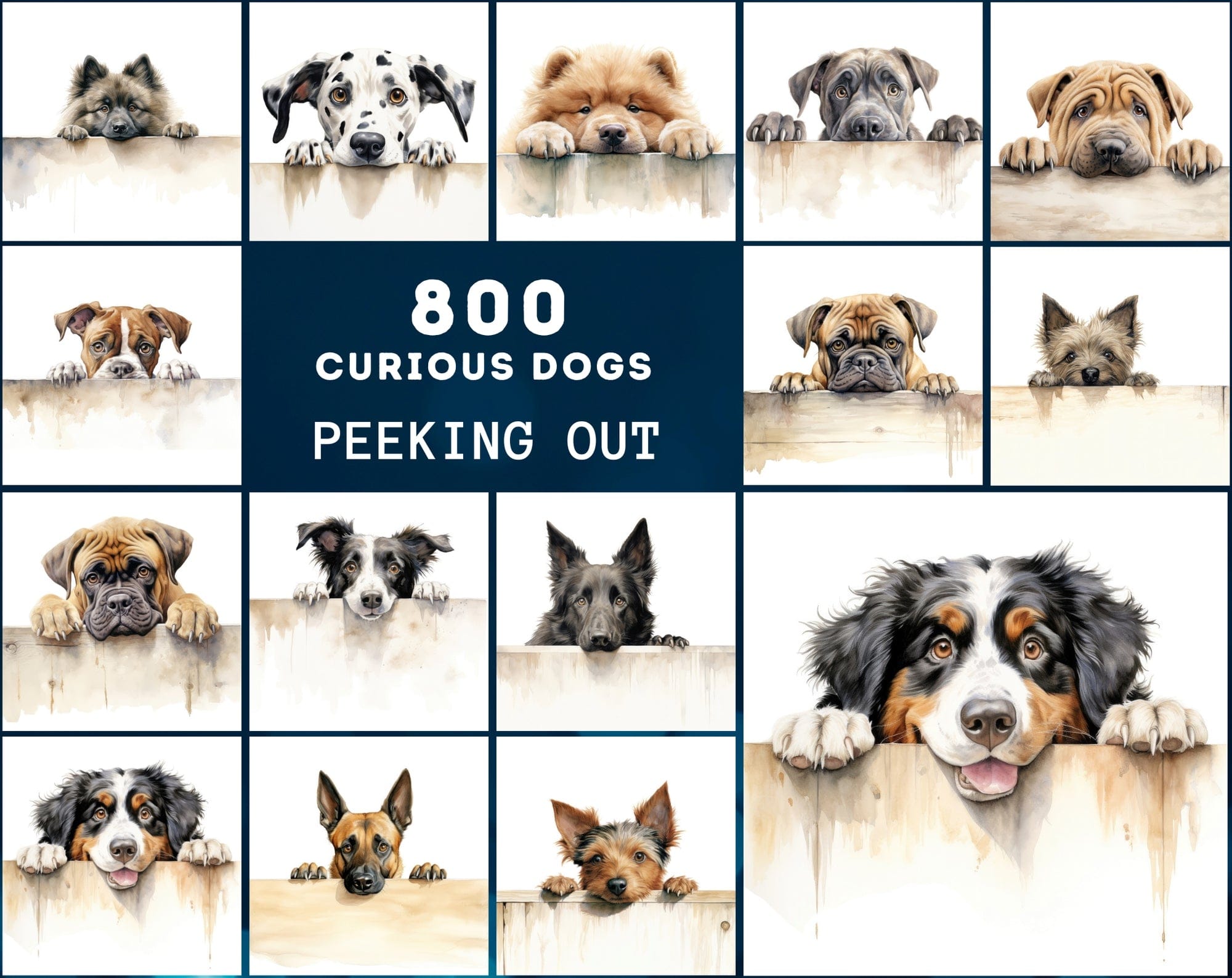 800 Peek-a-Boo Pup Images: High-Resolution Dog Photos with Commercial License Digital Download Sumobundle