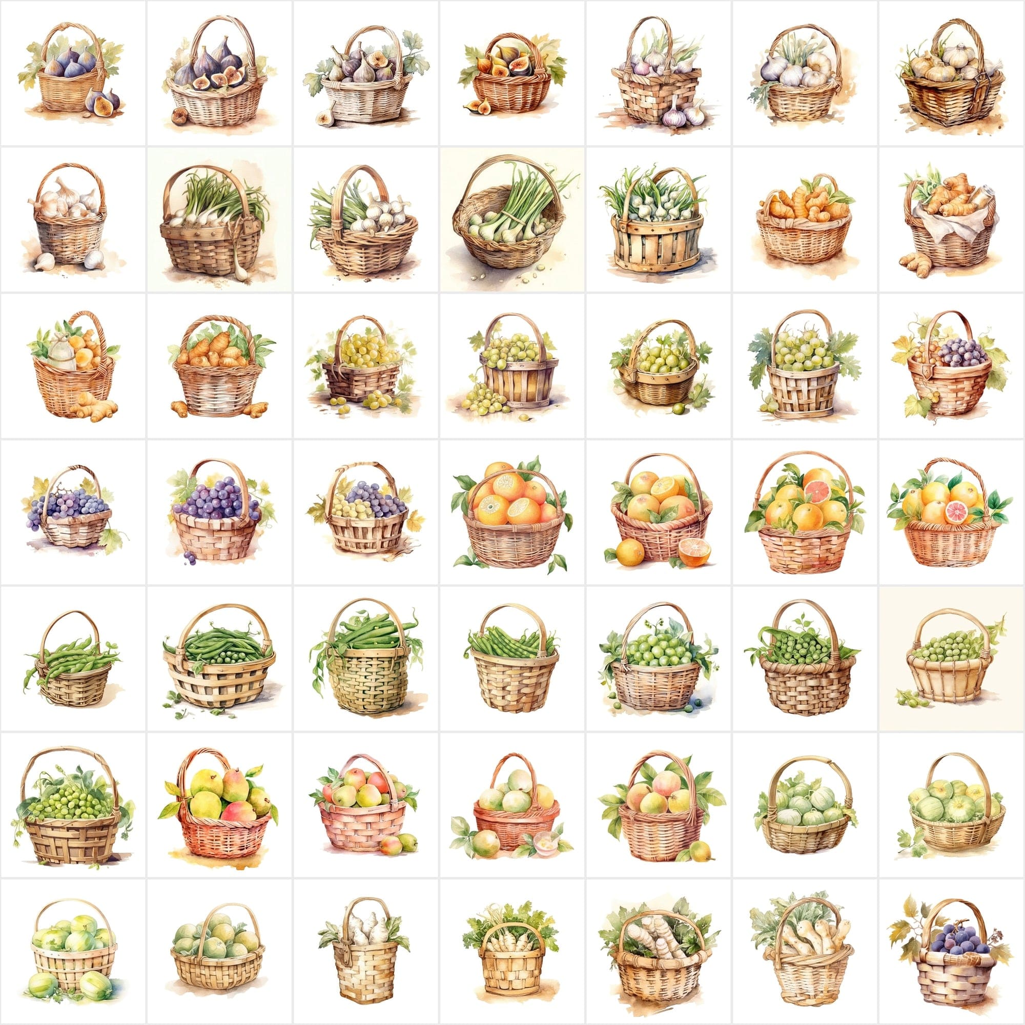 Cottagecore Fruit & Veggie Watercolor Images - Set of 550 images with Transparent Background Digital Download Sumobundle
