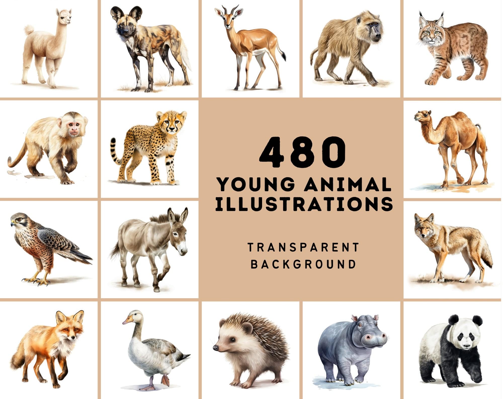 Mega Bundle: 480 Adorable Young Animal Illustrations, Transparent Background - Perfect for Crafts & Design Digital Download Sumobundle