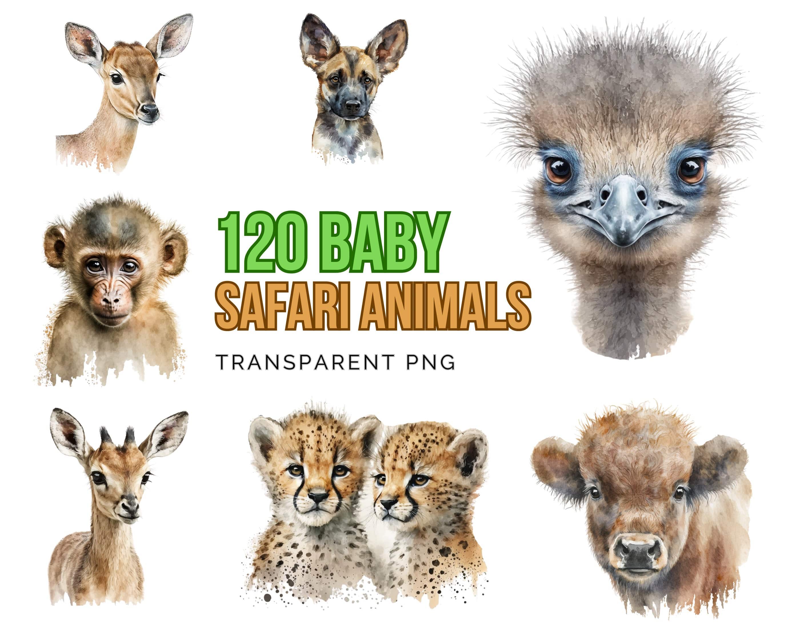 Safari Baby Animals Watercolor Clipart - Baby Shower Nursery Decor - Perfect for Nursery Decor, Baby Shower Invitations  - PNG Download Set Digital Download Sumobundle