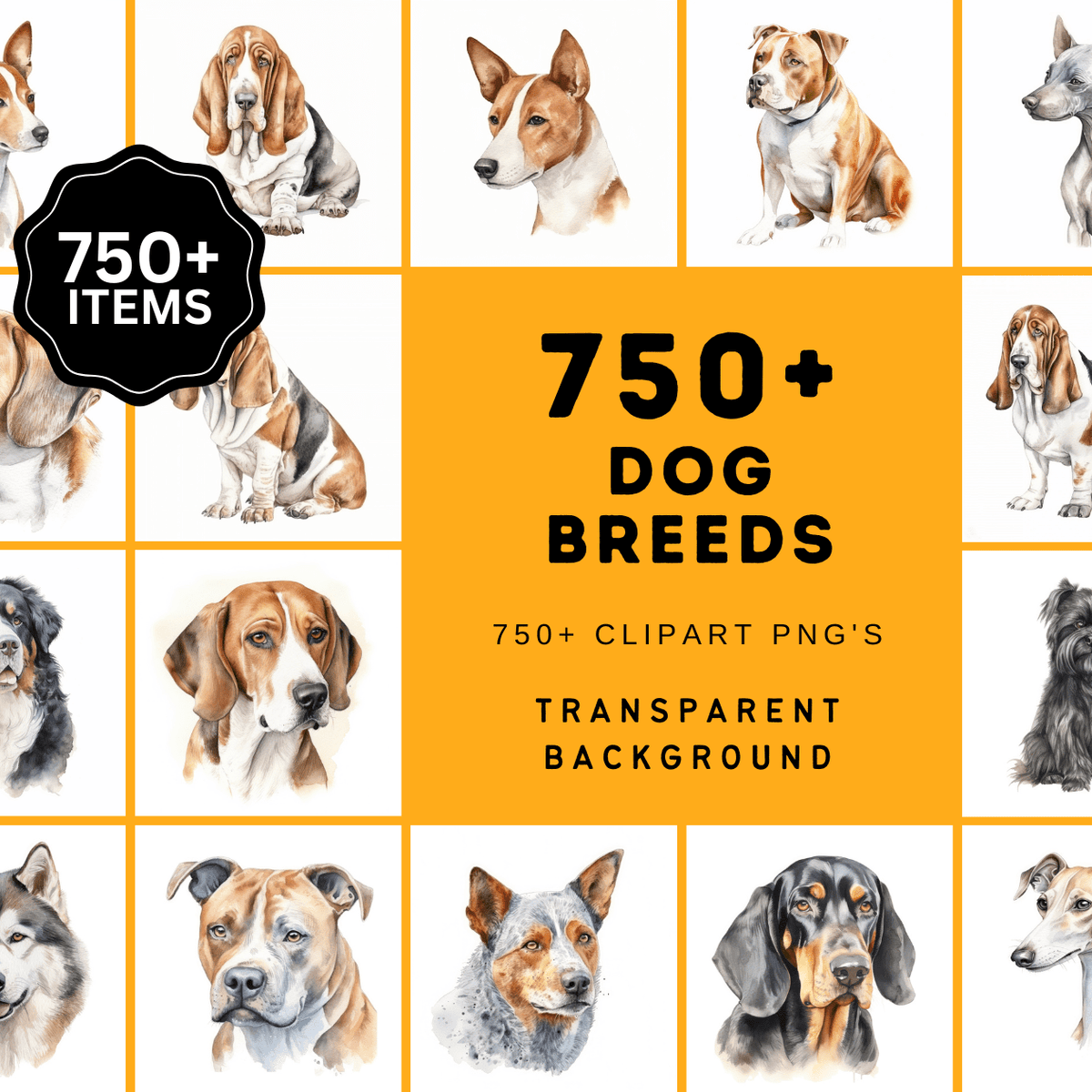 Canine Large Dog Breed Chart Large Dog Breed Chart Large Dogs