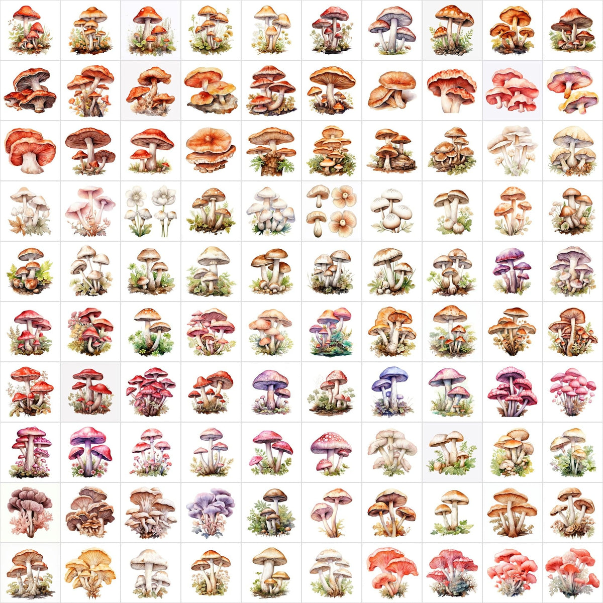 Watercolor Mushroom PNG Collection - 1170 Versatile Images with Commer