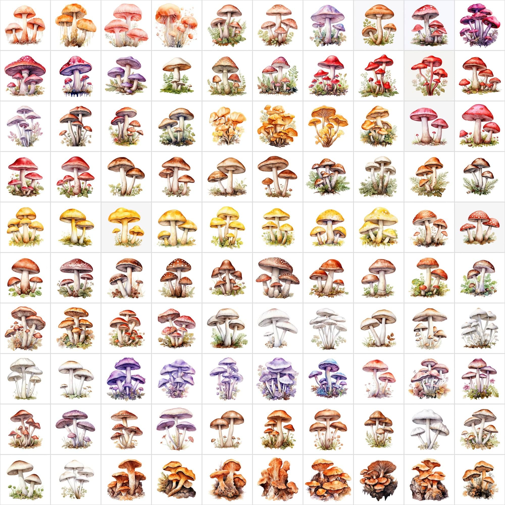 Watercolor Mushroom PNG Collection - 1170 Versatile Images with Commercial License, Transparent & White Backgrounds Digital Download Sumobundle