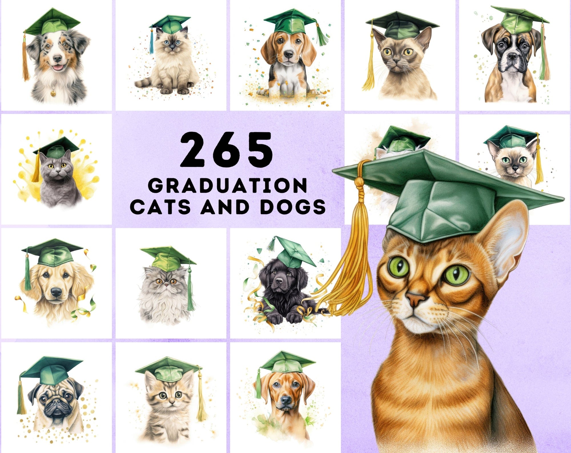 Watercolour Graduation Dogs and Cats Illustrations Digital Download Sumobundle